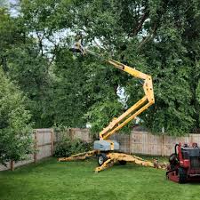 Best Lot and Land Clearing  in USA